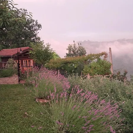 Magiche Langhe 3*