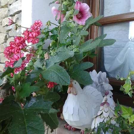 Magiche Langhe Bed & Breakfast Paroldo