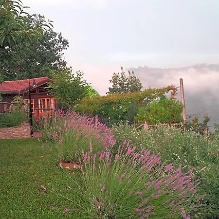Magiche Langhe 3*