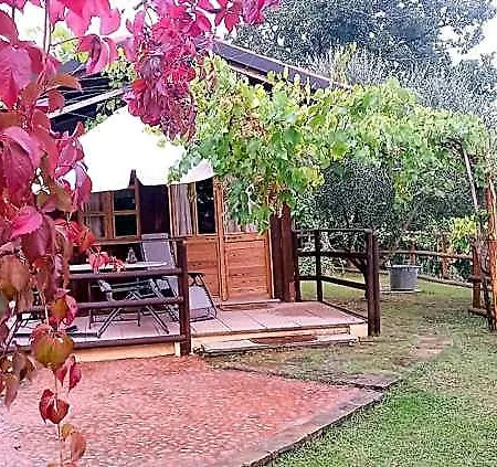 住宿加早餐酒店 Magiche Langhe
